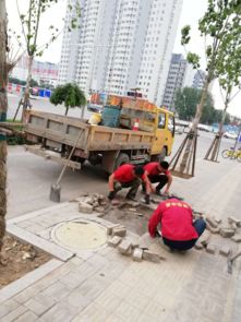 市政工程管理中心強化設施維修，全力保障道路暢通與設施完善